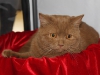photo_004