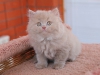 egor-sweety-of-kotoffski-5