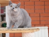 pusita-4