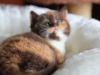 zanoza-in-my-heart-4